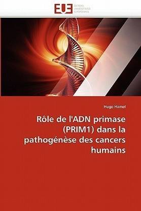 Role de l''adn primase (prim1) dans la pathogenese des cancers humains