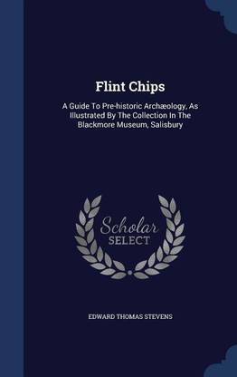 Flint Chips