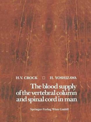 The blood supply of the vertebral column and spinal cord in man