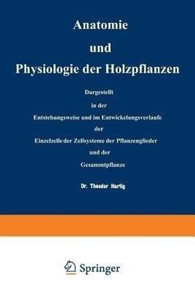 Anatomie und Physiologie der Holzpflanzen
