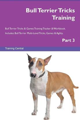 Bull Terrier Tricks Training Bull Terrier Tricks & Games Training Tracker & Workbook. Includes