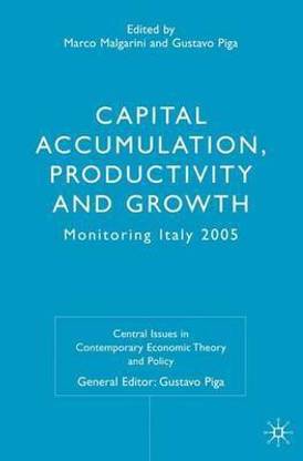 Capital Accumulation, Productivity and Growth