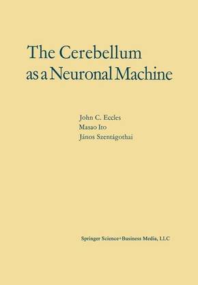 The Cerebellum as a Neuronal Machine