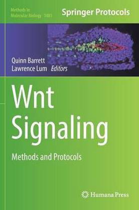 Wnt Signaling