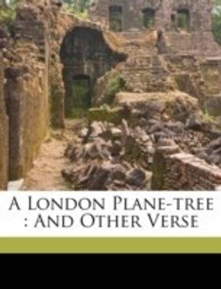 A London Plane-Tree