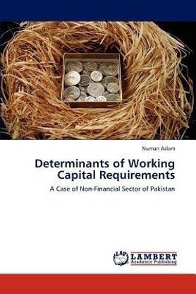 Determinants of Working Capital Requirements
