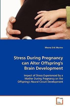 Stress During Pregnancy can Alter Offspring's Brain Development