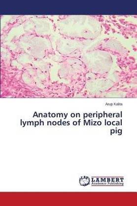 Anatomy on Peripheral Lymph Nodes of Mizo Local Pig