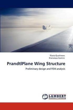 PrandtlPlane Wing Structure