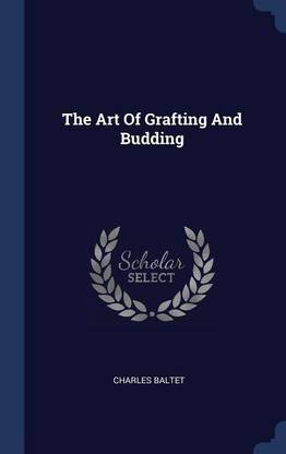 The Art Of Grafting And Budding