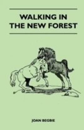 Walking in the New Forest