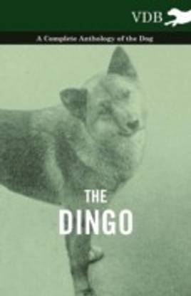 The Dingo - A Complete Anthology of the Dog -