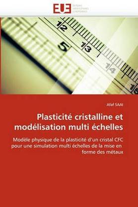 Plasticit Cristalline Et Mod lisation Multi chelles