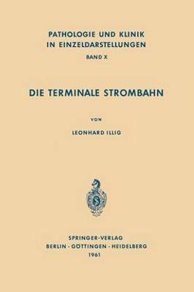 Die Terminale Strombahn