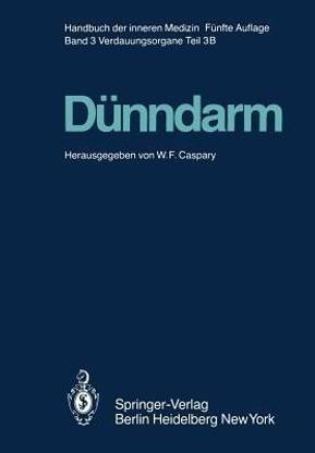 Duenndarm B