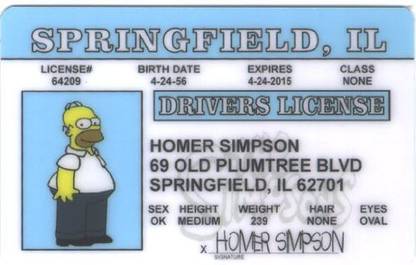 Incredible Gifts Homer Simpson Driver License ID