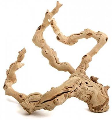 Koyal Wholesale Natural Grapewood Vine Branch, 6-Inch