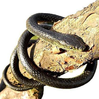 Paico 52 Inches Black Mamba Life Like Snake Toy