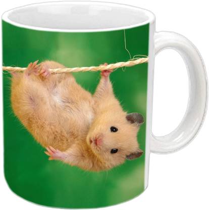 Jiya Creation1 Ginnie pig white mug Ceramic Coffee Mug