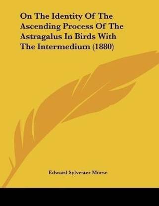 On The Identity Of The Ascending Process Of The Astragalus In Birds With The Intermedium (1880)