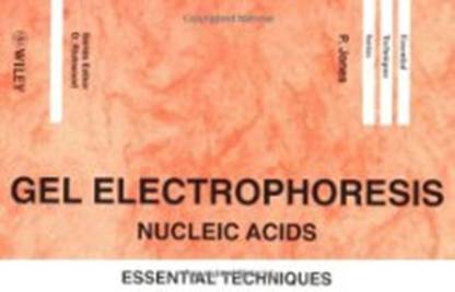 Gel Electrophoresis: Nucleic Acids