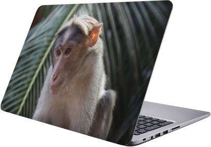 LUCANT monkey Laptop Sticker 15.6 inch-Premium Quality, UV Printed, Laminated, Bubble Free, Scratchproof Laptop Skin-298 Vinyl Laptop Decal 15.6