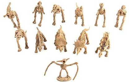Genrc Dinosaur Skeleton Toy Models Kids Toddler Figures Toys Educational Toy - 12 Pieces