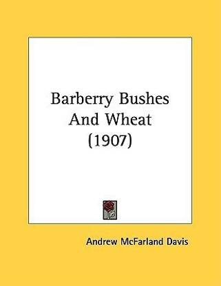 Barberry Bushes And Wheat (1907)
