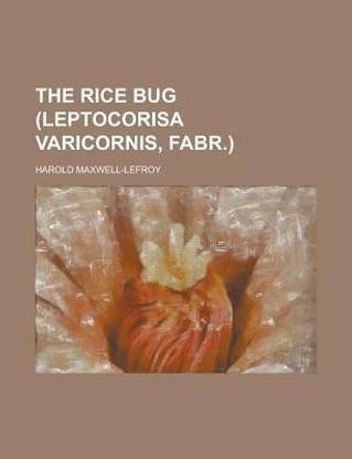 The Rice Bug (Leptocorisa Varicornis, Fabr.)
