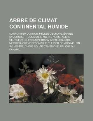 Arbre de Climat Continental Humide