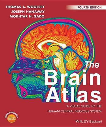 The Brain Atlas