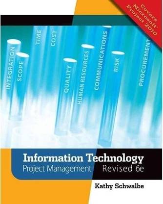 Information Technology Project Management