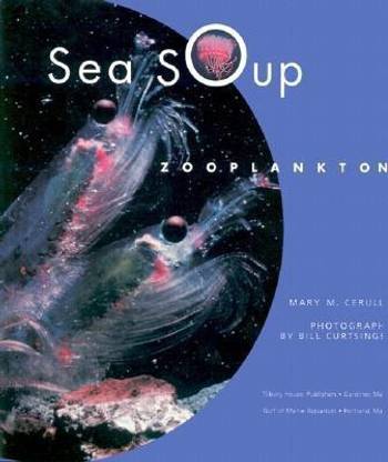 Sea Soup