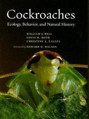 Cockroaches