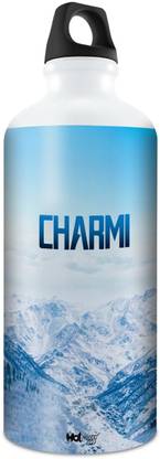 HOT MUGGS 750 ml Steel Bottle