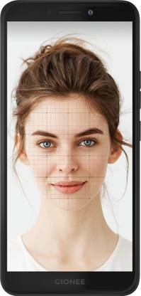 GIONEE F205 (Black, 16 GB)