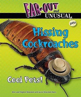Hissing Cockroaches