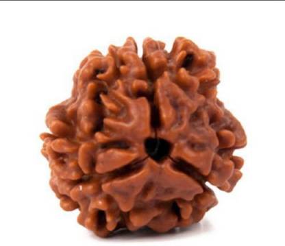 Krishna Gems 100% Original Lab Certified 3 Mukhi/3 Face Rudraksh Beads (Unisex) Wood Pendant