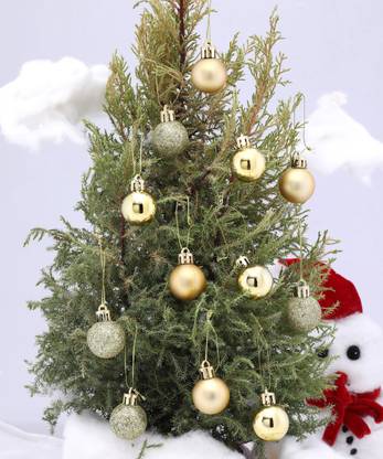 SkyAsia 3702CG Hanging Ornaments Pack of 12