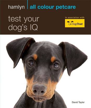 Test Your Dog's IQ