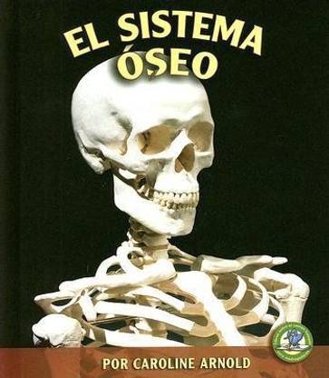 El Sistema Oseo (the Skeletal System)