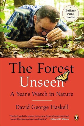 to watch the forest free in english to watch the forest free in english