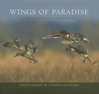 Wings of Paradise