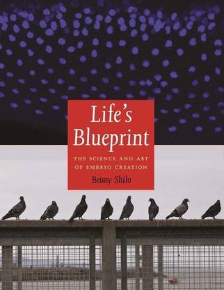 Life's Blueprint