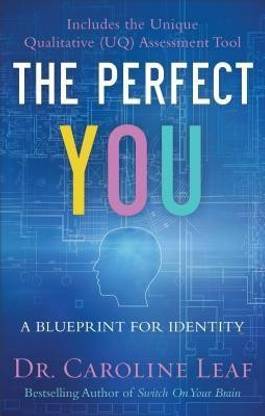The Perfect You - A Blueprint for Identity