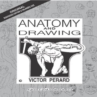 Anatomy & Drawing