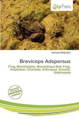 Breviceps Adspersus