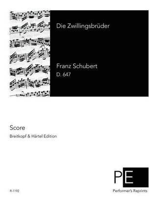 Die Zwillingsbruder