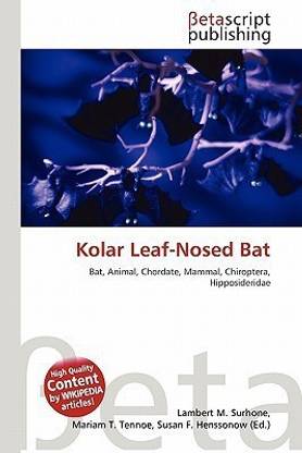 Kolar Leaf-Nosed Bat