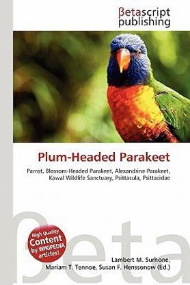 Plum-Headed Parakeet